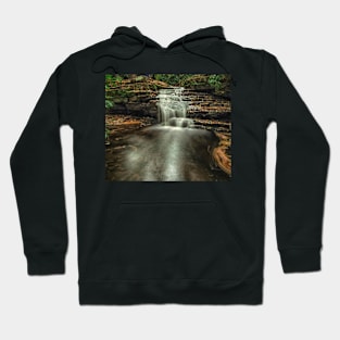 Lower Mill Creek Hoodie